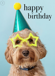 Affirmations Card - HB you party animal