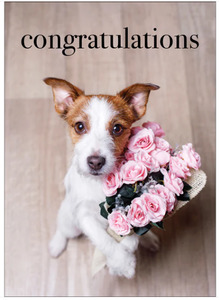 Affirmations Card - Congratulations