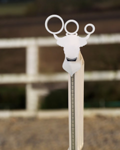 "Toro Bravo" - Bull Obstacle