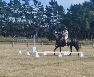 Working Equitation: Working Equitation Bell Corridor Assembly