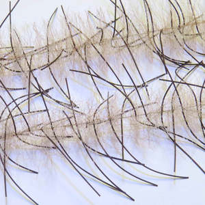 Fly Tying: NEW Just Add H20 Lively Legs Crustacean Brush (Saltwater Fly Tying)