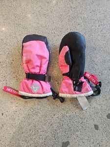 In Stock: Pink Hestra Ski Mittens, S