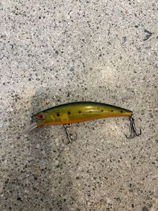In Stock: Green Black Magic Hard Body Lure