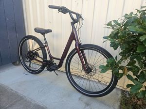Burgundy Specialized Roll Elite Low Entry