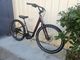 Burgundy Specialized Roll Elite Low Entry