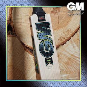 GM AION PREMIER (404) SH English Willow Cricket Bat