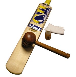 Bat Knocking by Knocking Machine