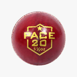 Balls: DSC Pace 20 Cricket Ball