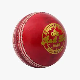 Balls: DSC Red Dot Cricket Ball