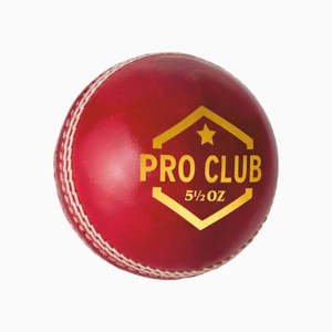 DSC Pro Club Cricket Ball