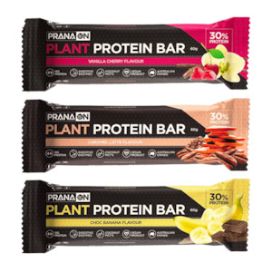 PranaOn Plant Protein Bars