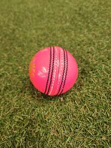 Balls: SHQ T-20  Leather Cricket Ball – 4 Piece – 156gm – Pink