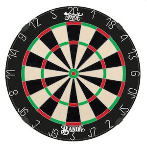Dartboard Equipment: SHOT BANDIT DARTBOARD | GEN 4