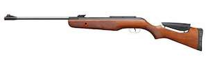 Airgun: 150253     ~ GAMO AIR RIFLE HUNTER DX .22