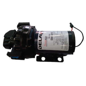 Pumps: Delavan Pump 12v 15.1L/min 60psi QC Port