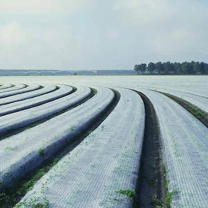 Frost cloth 2.1M x 100M roll 35gsm