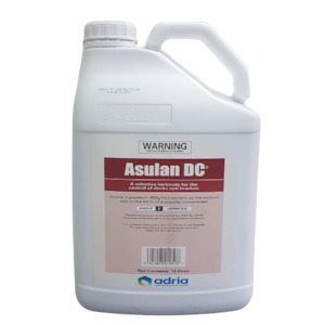 Asulan Herbicide 10L, Controls Dock (Non-DG)