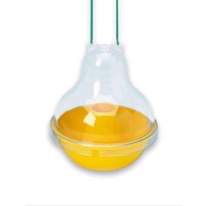 Fly Wasp Control: NoPests Wasps dome trap/ bait station