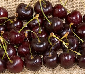 Cherry Dawson - Springvale Garden Centre