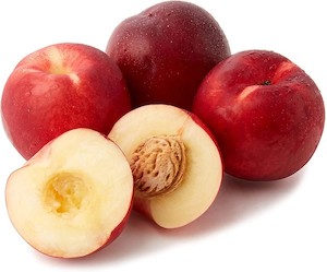 Nectarine Snow Queen - Springvale Garden Centre