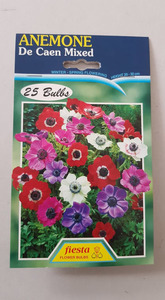 Anemone De Caen Mix 25s - Springvale Garden Centre