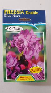Products: Freesia Double Blue Navy - Springvale Garden Centre