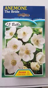 Products: Anemone The Bride - Springvale Garden Centre