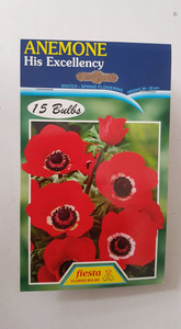 Products: Anemone His Excellency - Springvale Garden Centre