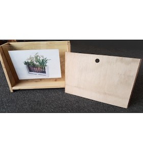 Products: Observatory Vegetable Growing Kits : Window Planters