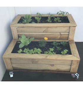 Planter - Double With Castor Wheels