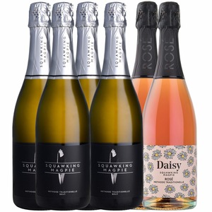 Products: Sparkling Case