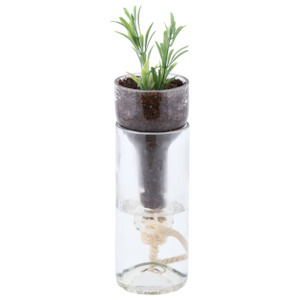 Boxing Day Sale: Planter Self-Watering Bottle