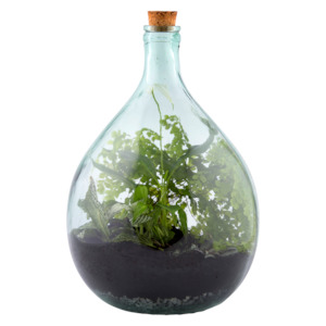 Terrarium Bottle 15L