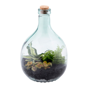 Terrarium Bottle 5L