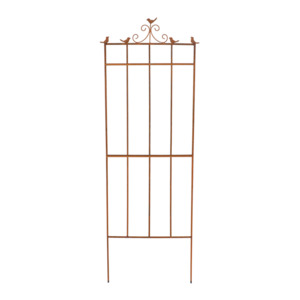 Cast Iron Plant Support 2D Bird Large