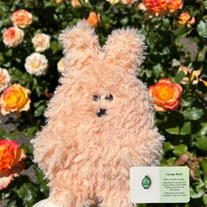 Products: Courage Bunny Weighted Plush Toy and Positivity Pin Bundle - Squoodles