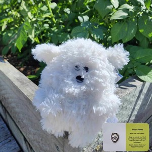 Sleep Sheep Weighted Plush Toy and Positivity Pin Bundle - Squoodles