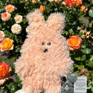 Courage Bunny Weighted Plush Toy and Positivity Crystal Bundle - Squoodles