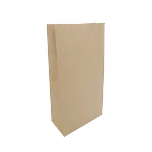 Ecopack Medium Lightweight Paper Bags (1 Pack/50 Bags)