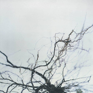 Products: Nova + - Yutaka Hirose Stack Records