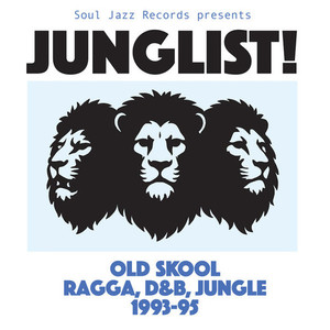 Junglist Old Skool Ragga, D&B, Jungle 1993 - 95 2LP Stack Records