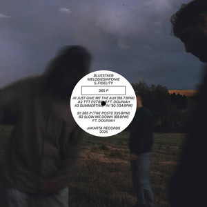 365 P - Bluestaeb, Melodiesinfonie & S. Fidelity, Stack Records