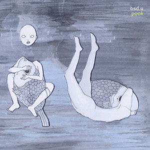 pook - bsd​.​u Stack Records