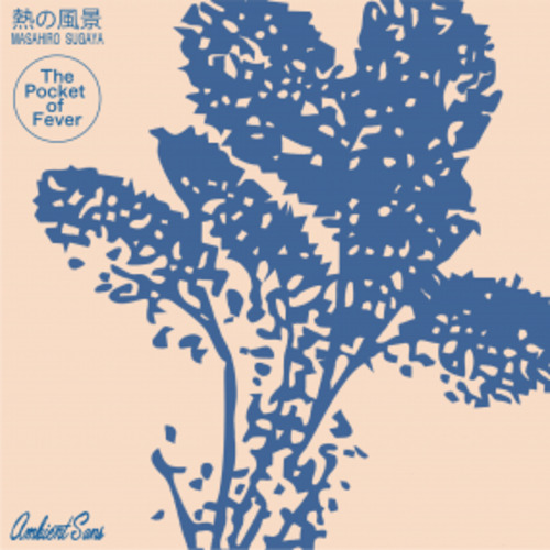 Products: THE POCKET OF FEVER - MASAHIRO SUGAYA Stack Records
