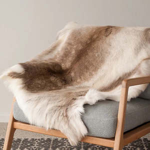 The Showroom 2: Reindeer Hide