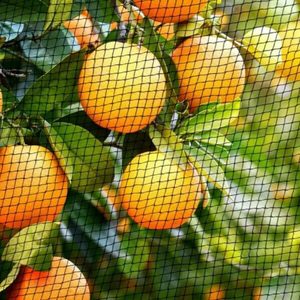 Bird Netting Mesh Tree Garden Net Reusable Protective Garden Netting