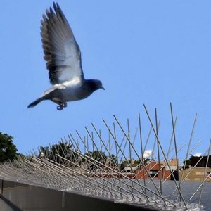 Products: Bird Spikes Bird Control Spikes Bird Deterrent Spikes