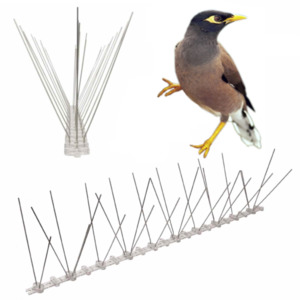 Products: Anti-Indian Myna Spikes Indian Myna Deterrent Spike Strips Indian Myna Repellent Spikes