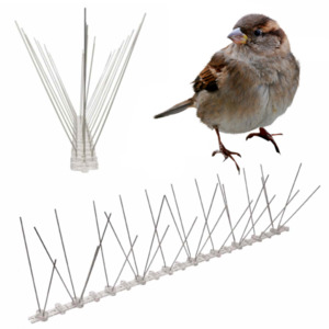 Products: Anti-Sparrow Spikes Sparrow Deterrent Spike Strips Sparrow Repellent Spikes