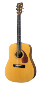 Acoustic Guitars: NORA™ Dreadnought, solid wood acoustic guitar. Red cedar soundboard, black walnut neck, rosewood body